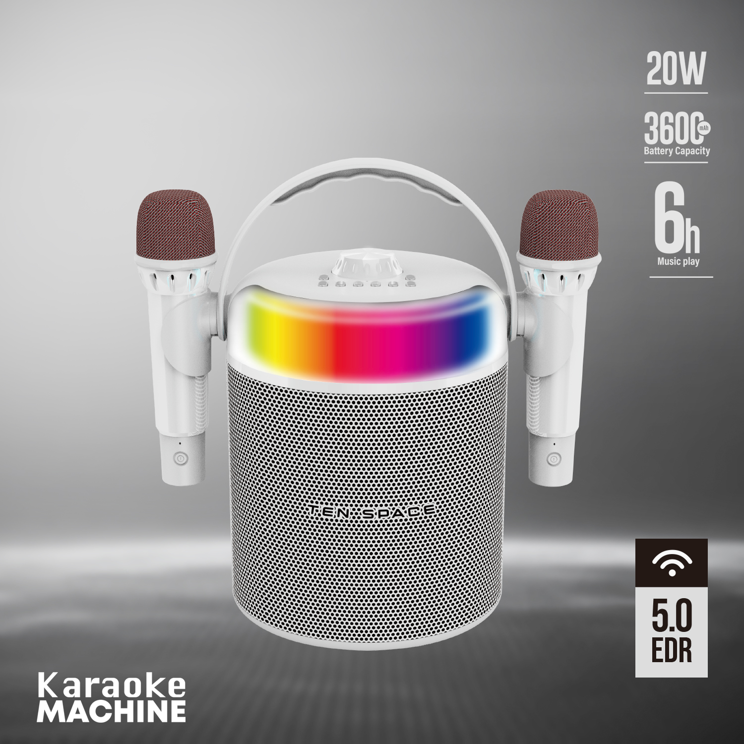 S16-1 Baffles + 2 Microphones Karaoke Ten Space Music TS-S16 – Image 1